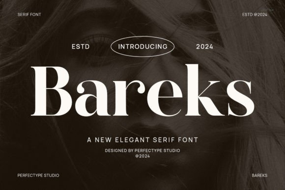 Bareks: A Modern Serif Typeface for Campaigns