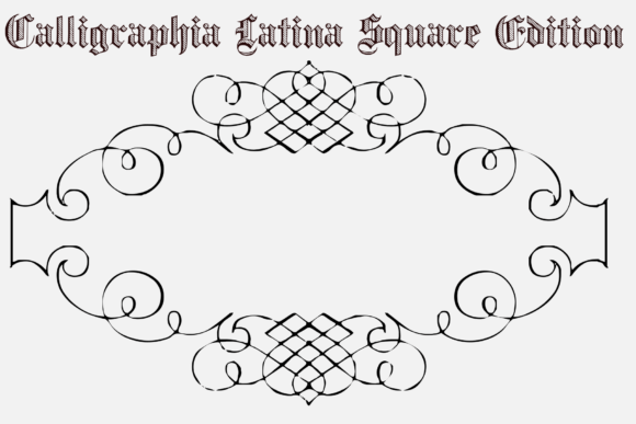Calligraphia Latina Square Edition for Brand Identity