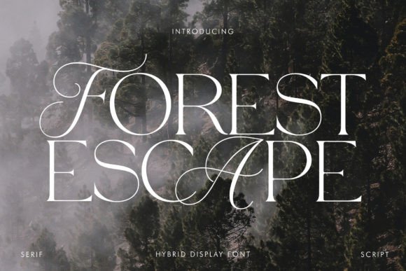 Forest Escape: A Luxurious Serif Font for Premium Branding