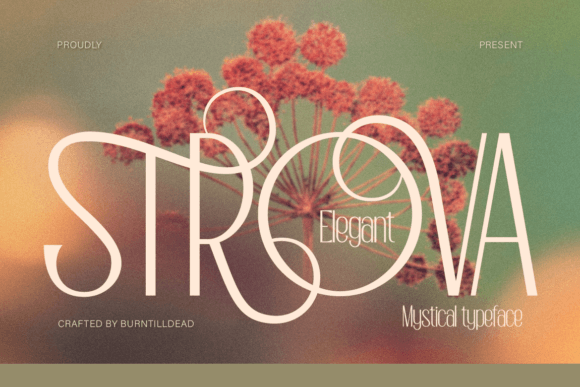 Strova: A Premium Serif Font for Makers