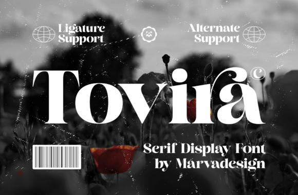 Tovira: The Bold Serif Font for Your Brand